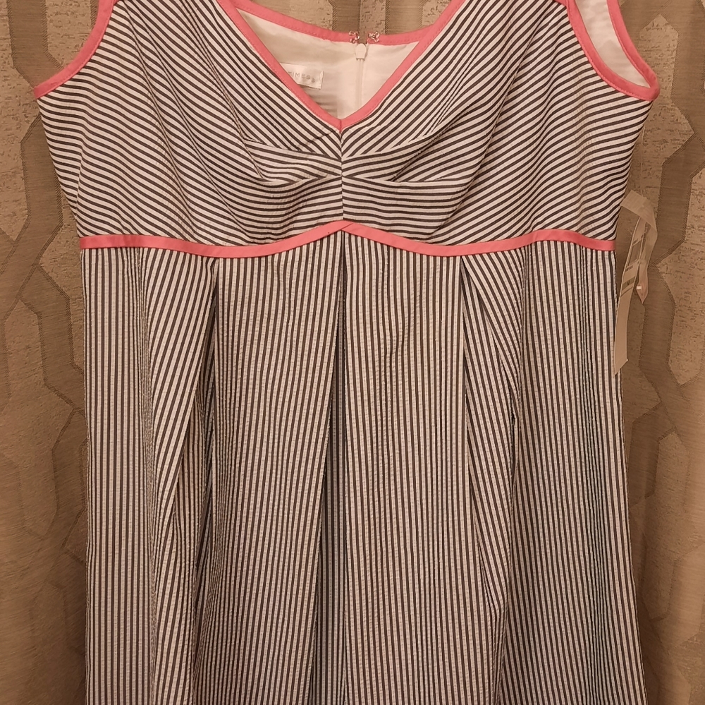 Grey striped dress with pink piping